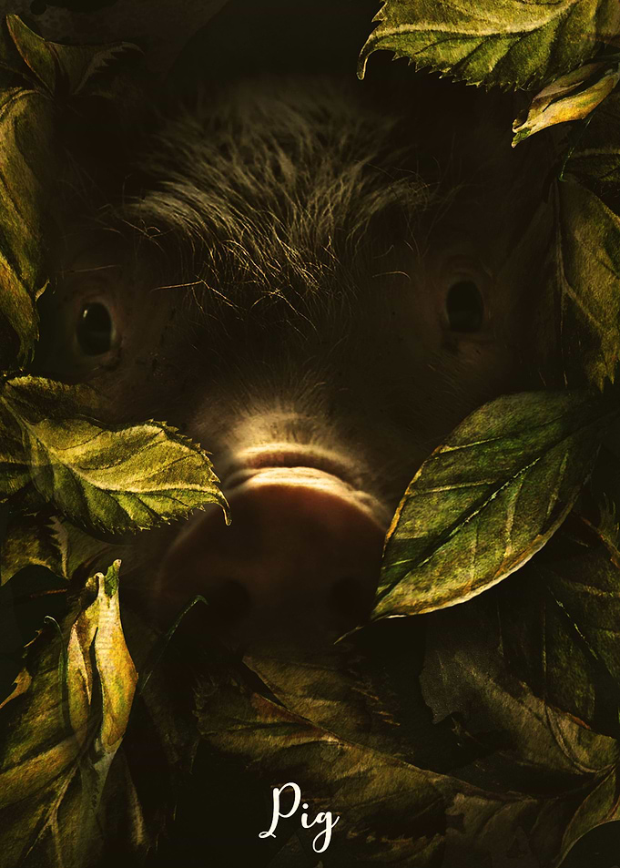 Pig