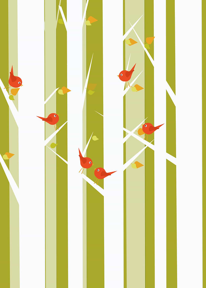 Birds in the forest