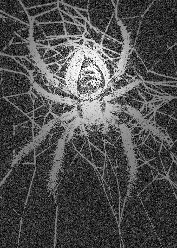 Spiderphilia