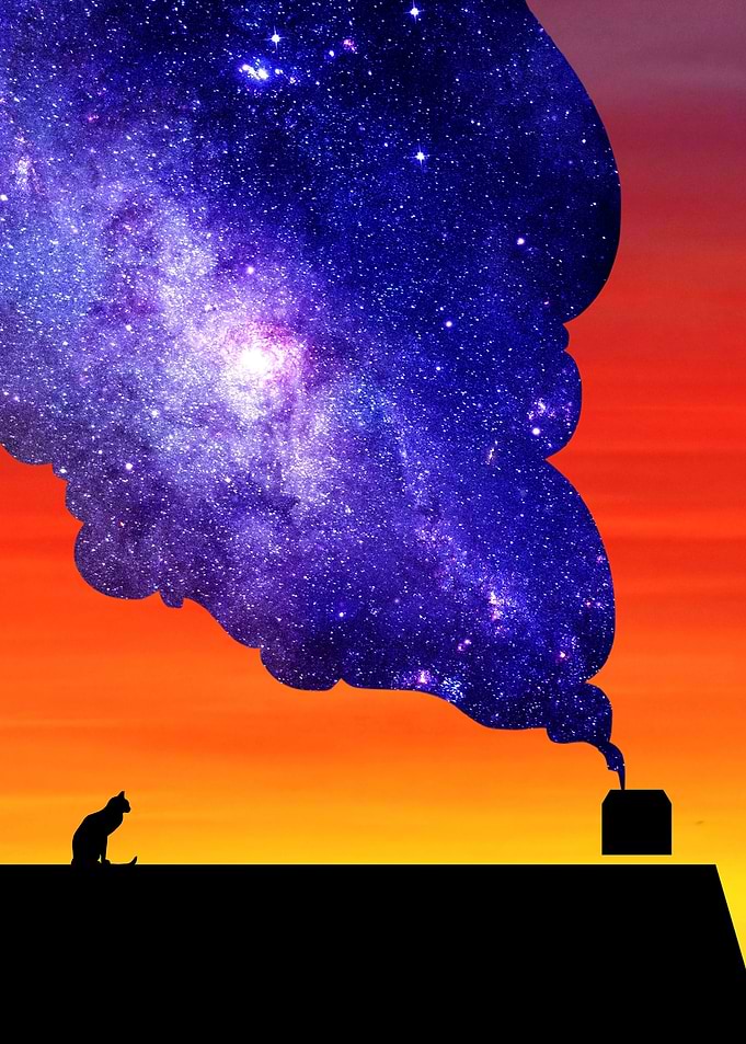 Cat silhouette art