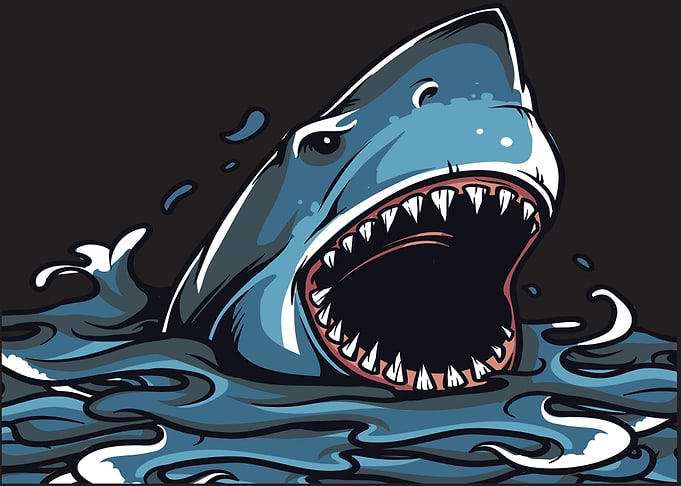 Great White Attack