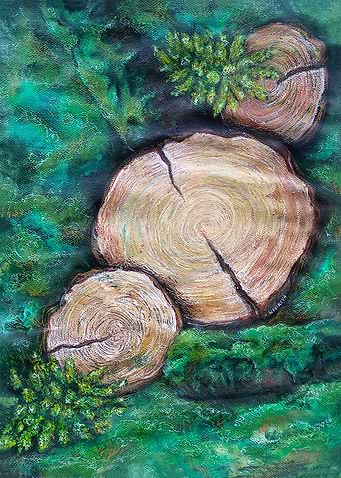 Moss and Wood