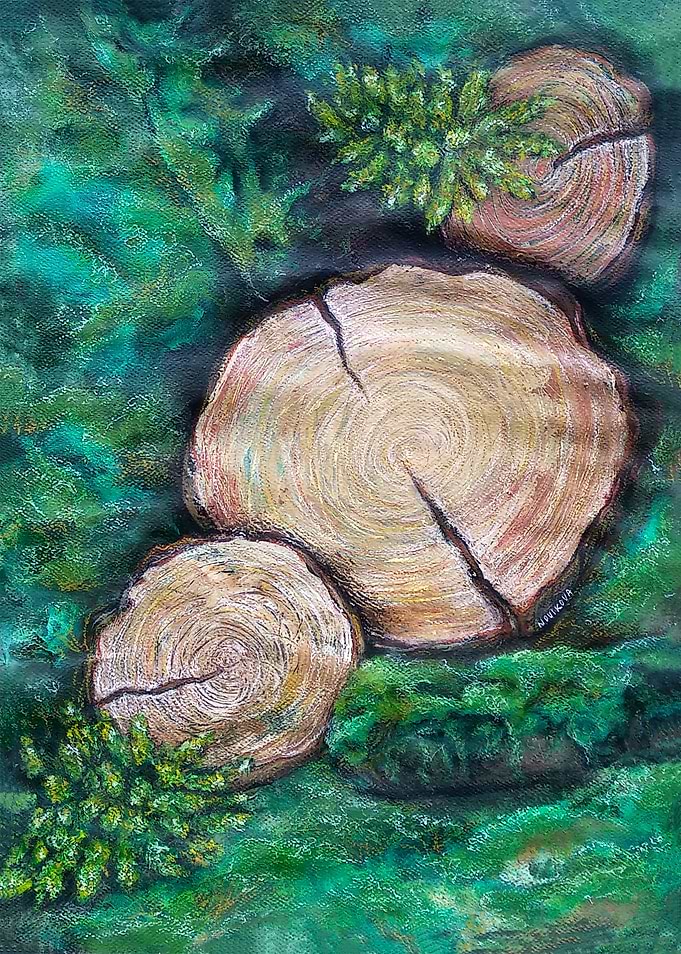 Moss and Wood