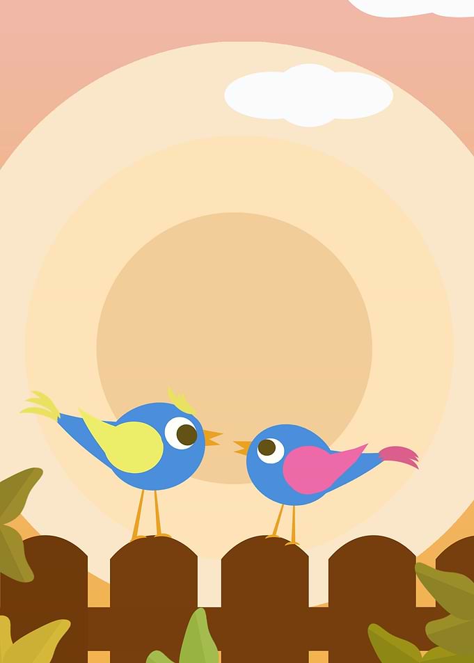 Lovely birds
