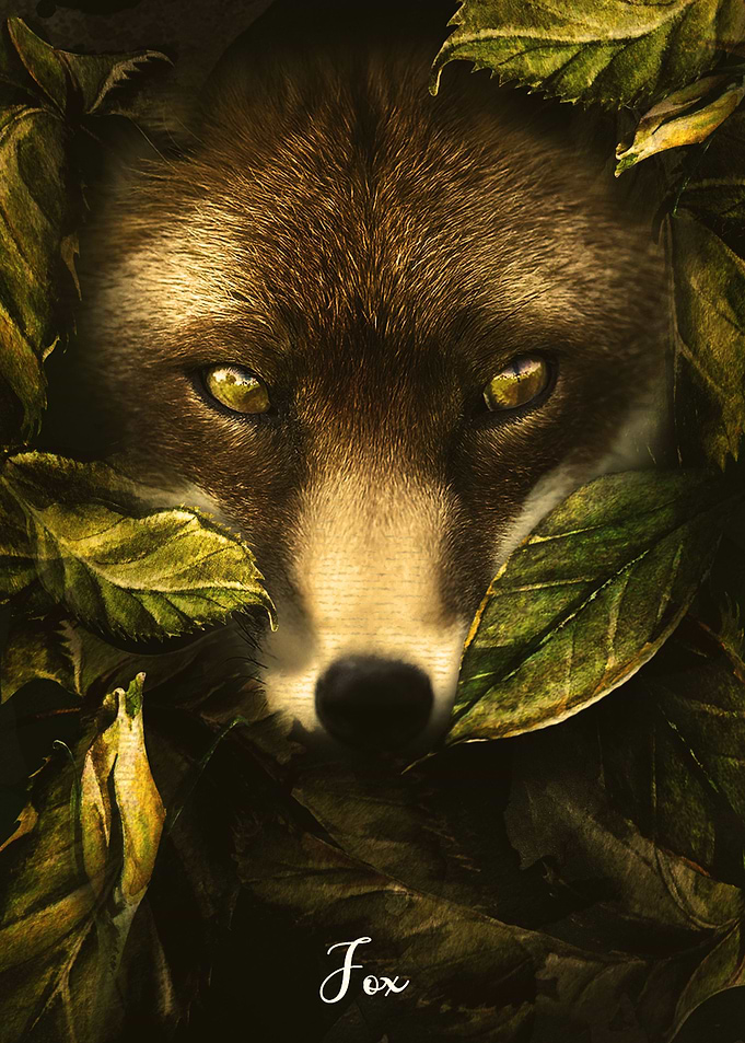 Fox