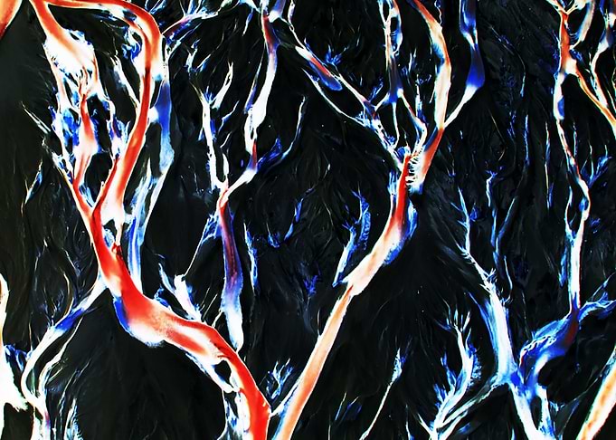 Flame Kissed Trees