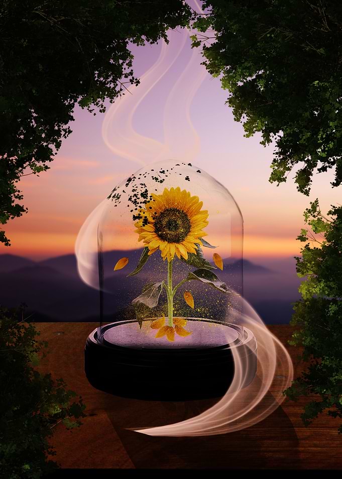 SUN