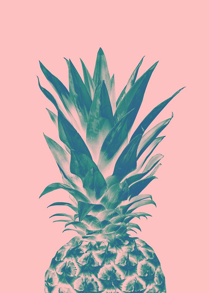 Blush Pineapple Dream 3