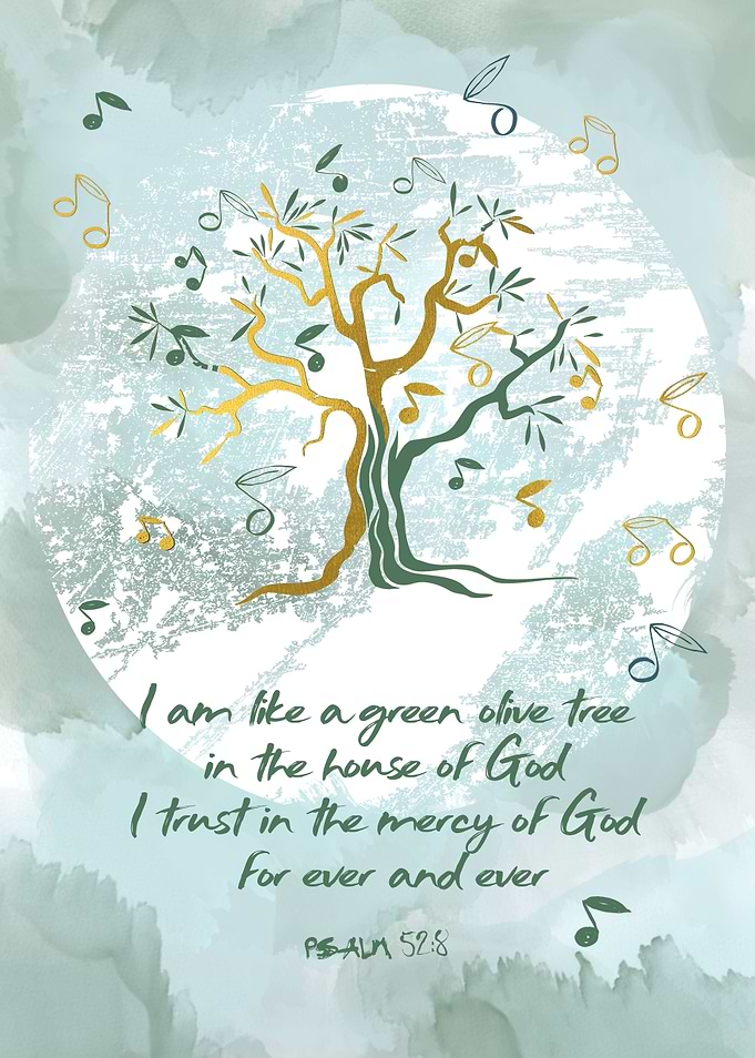 Olive Tree
