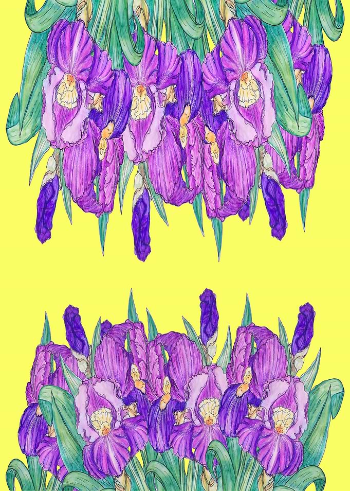 Flowerdeluce in yellow