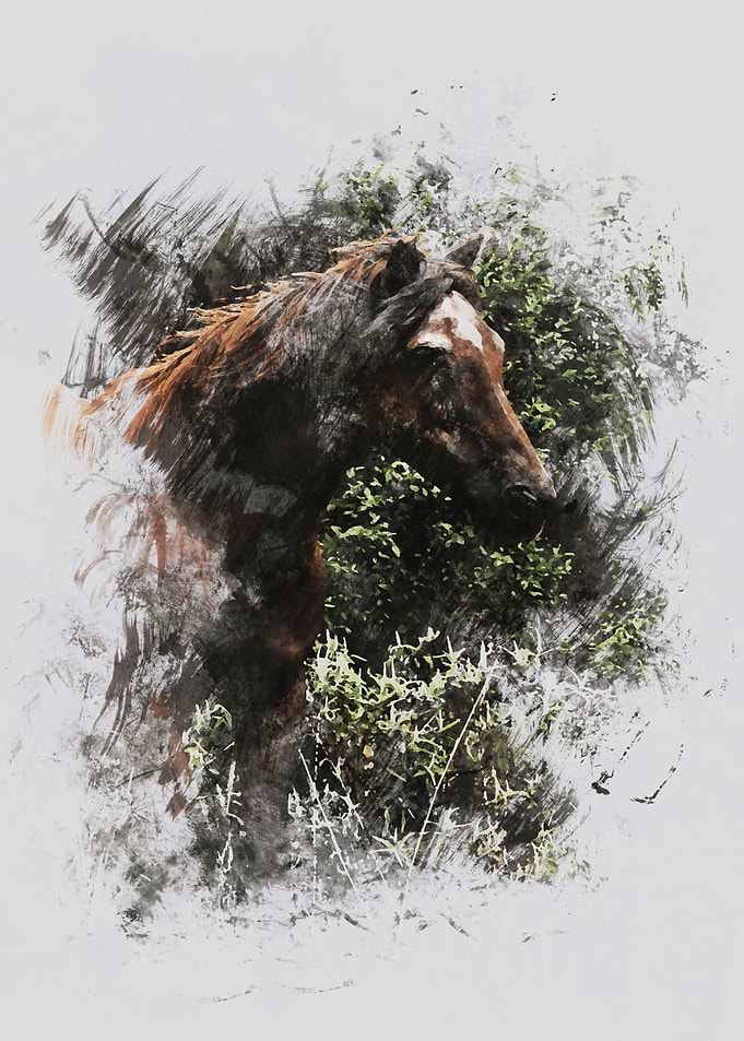 Horse
