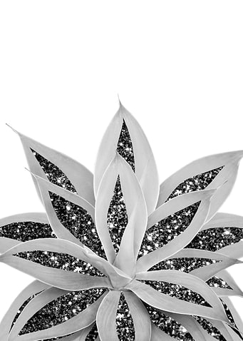 Agave Silver Glitter 1