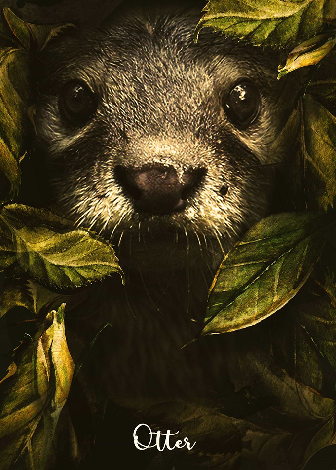 Otter