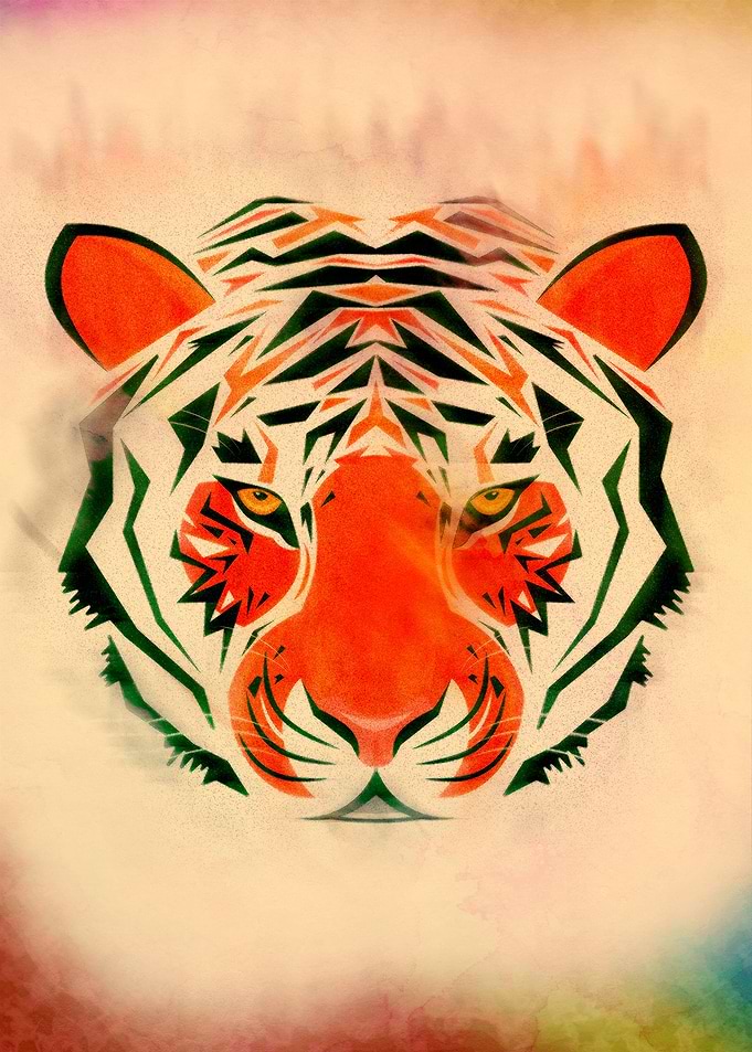 Angry Tiger Face Looking