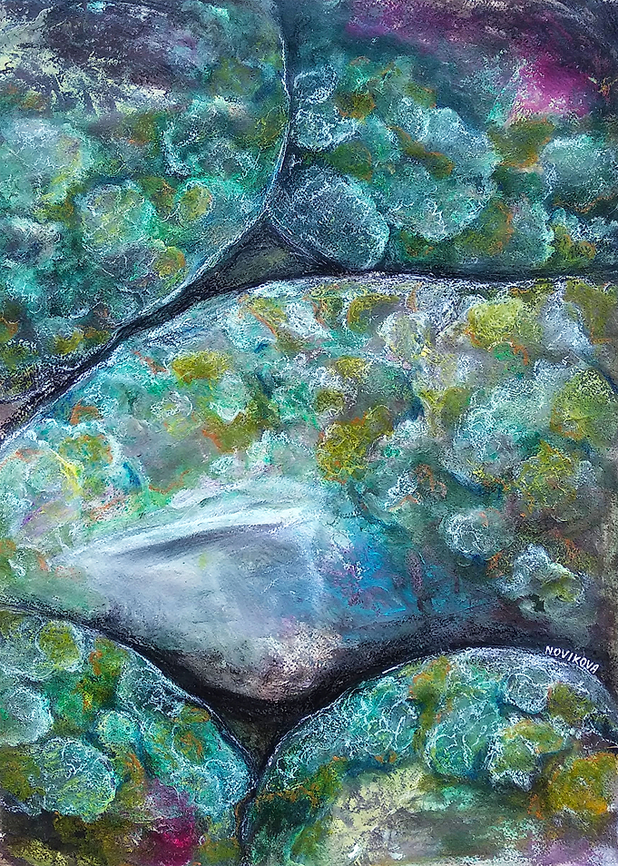 Moss and Stones