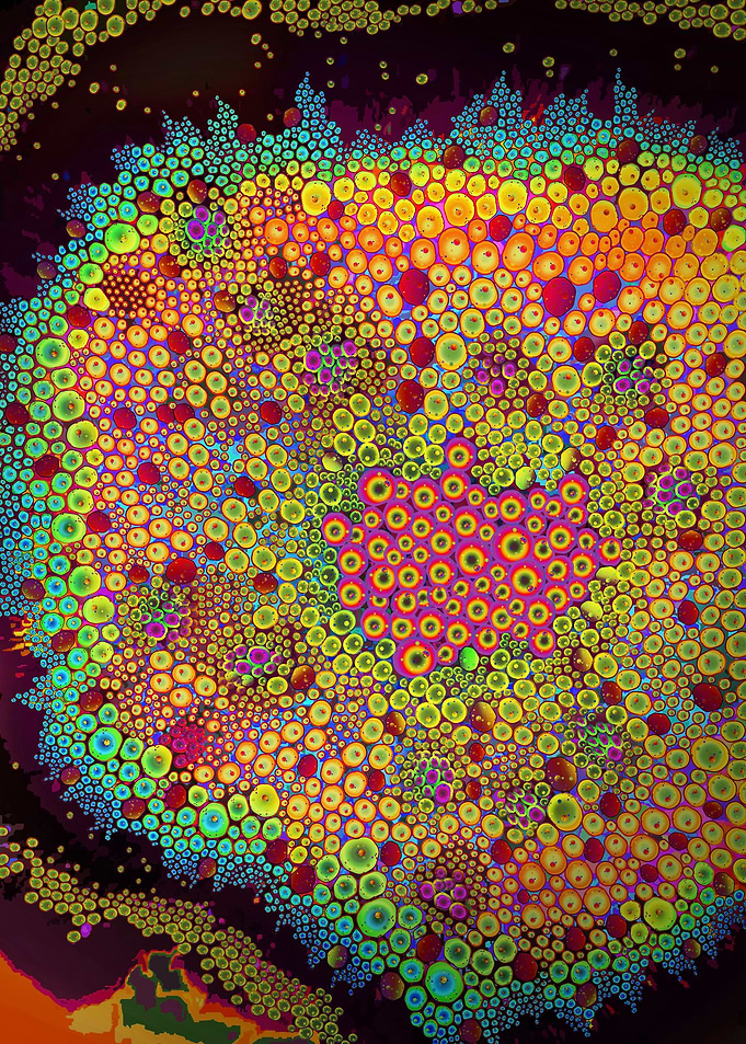 Plant under microscope