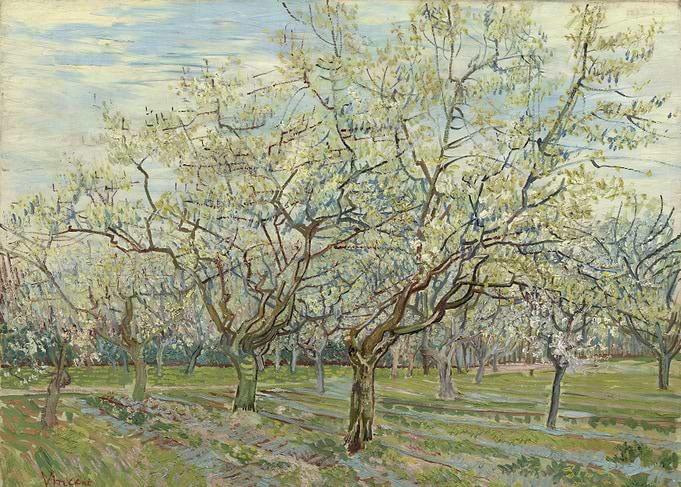 De witte boomgaard
