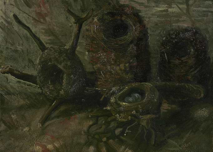 Vogelnesten