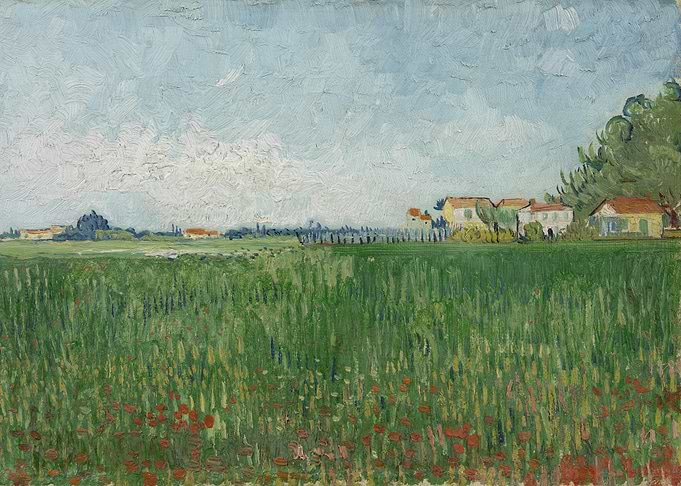 Veld met klaprozen