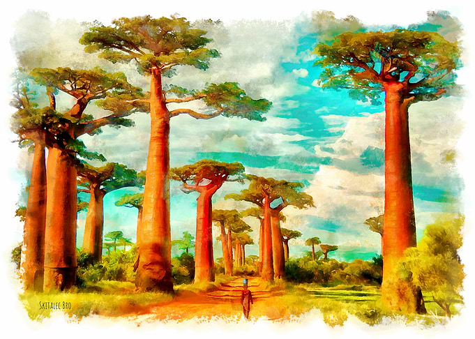 Africa Madagascar