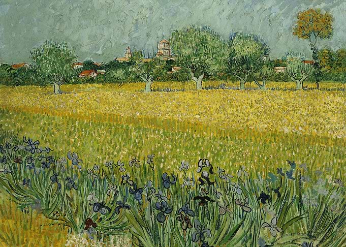 Field with Flowers near Ar