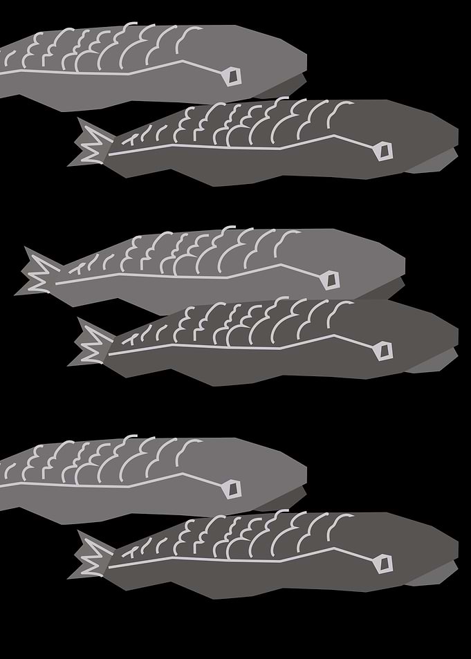 Black Fish lover