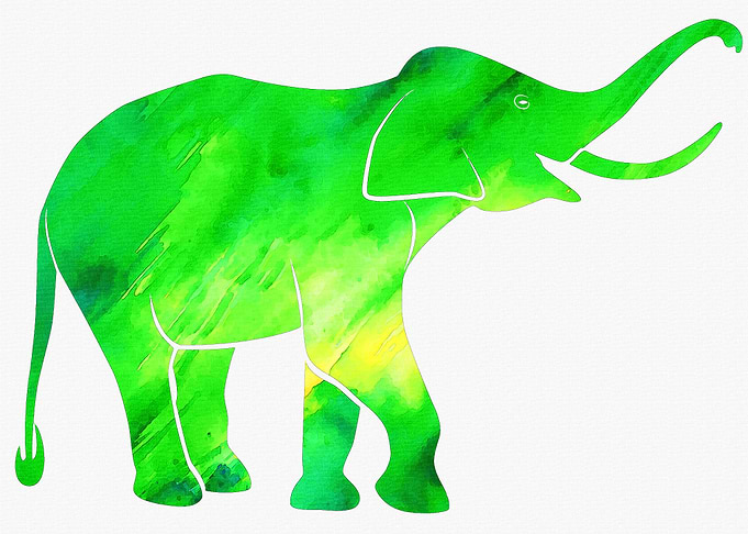 Elephant green background