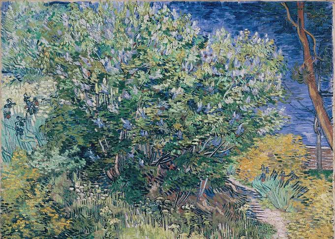 Lilac Bush 1889