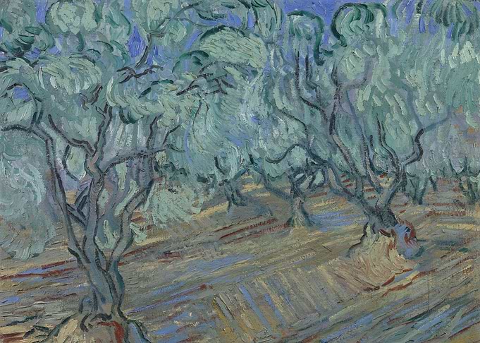 Olive grove November 1889