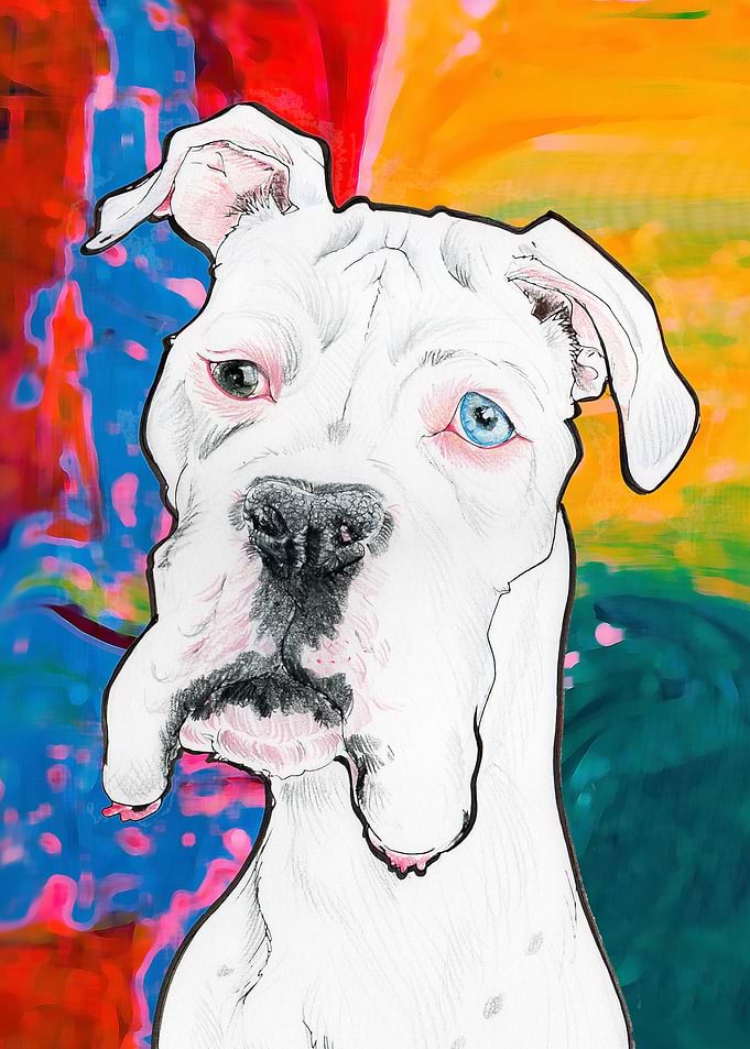 White Dog