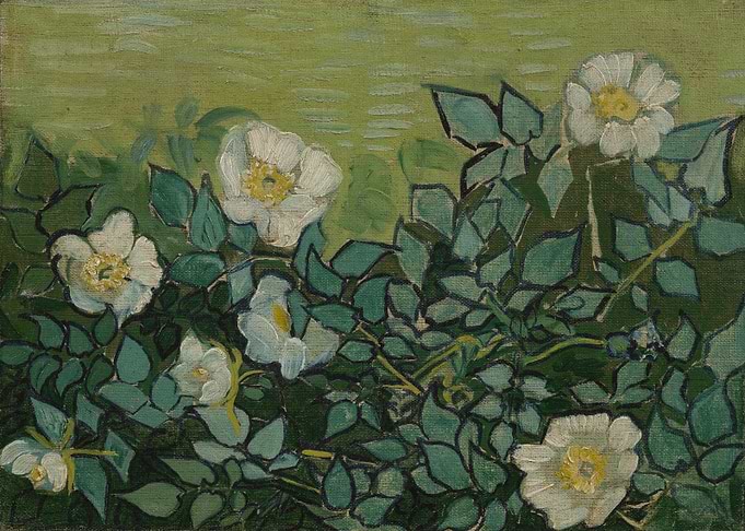 Wilde rozen