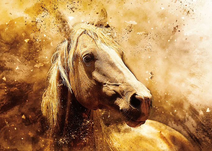 Horse