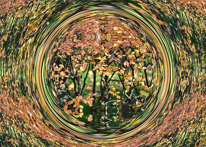 autumn come