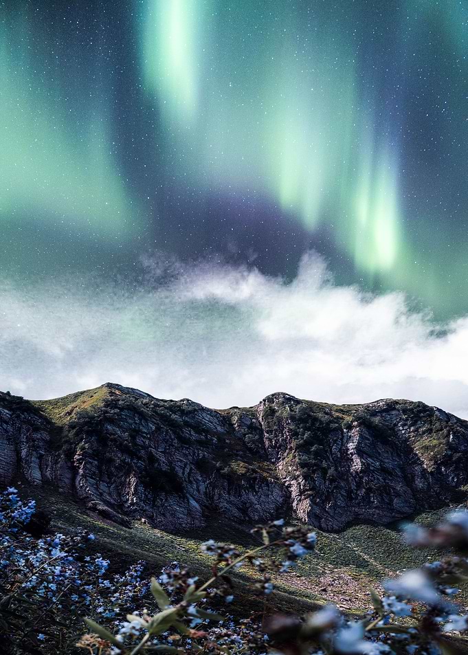 Aurora Over The Flowers