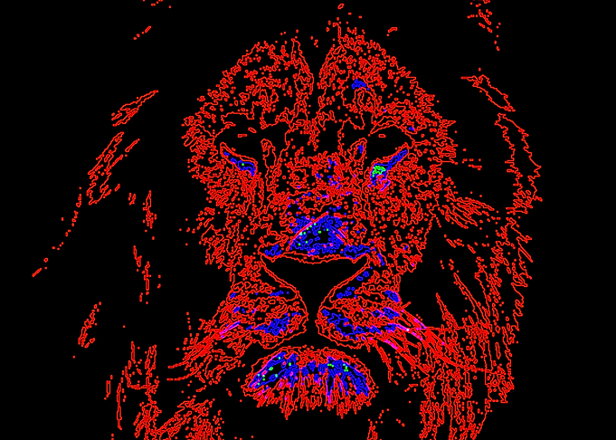 Lion4