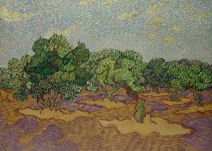 Olive Trees1889