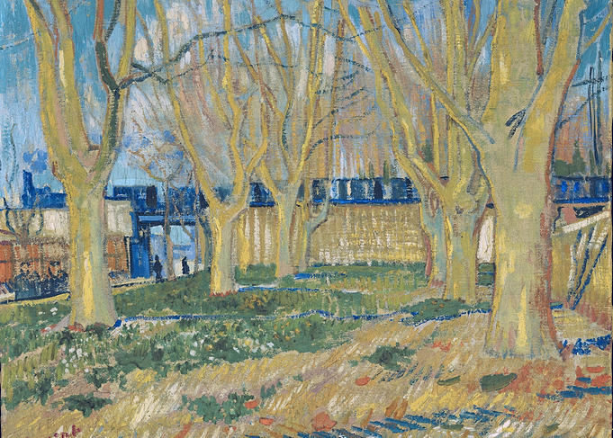 Avenue of Plane Trees near