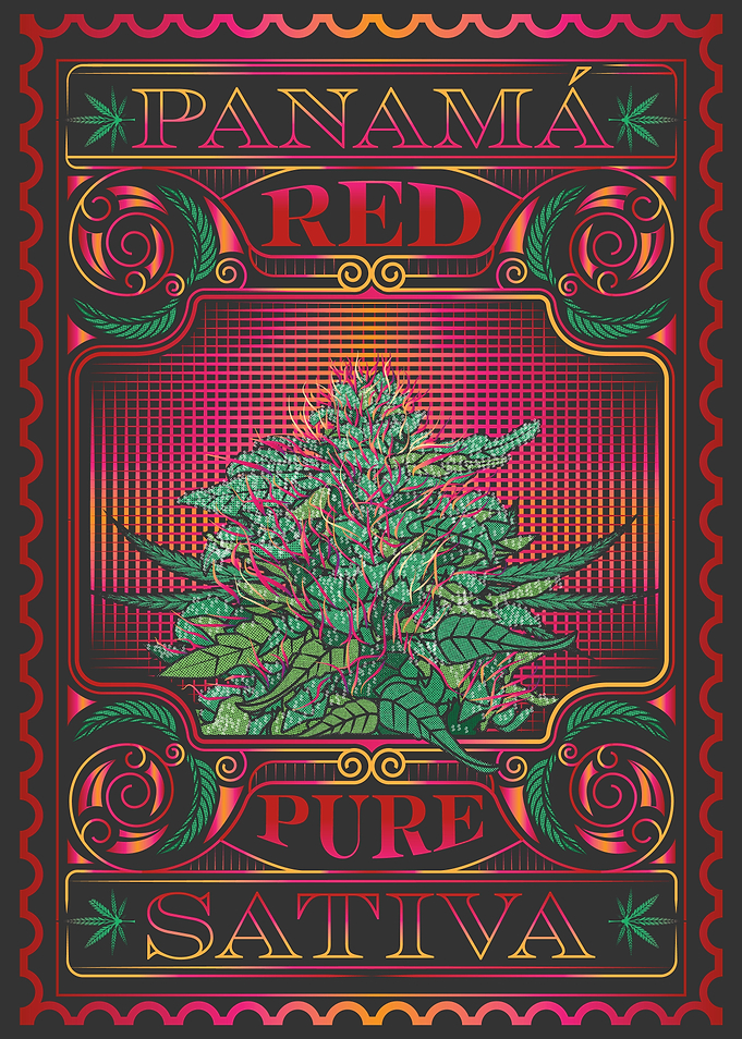Panama Red
