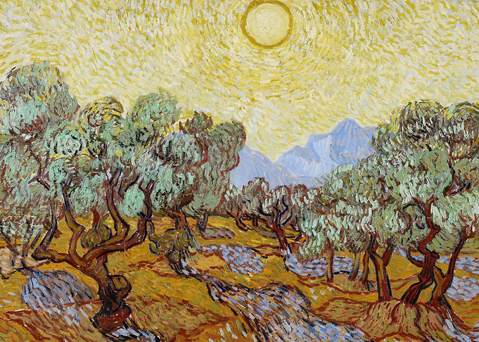 Olive Grove9