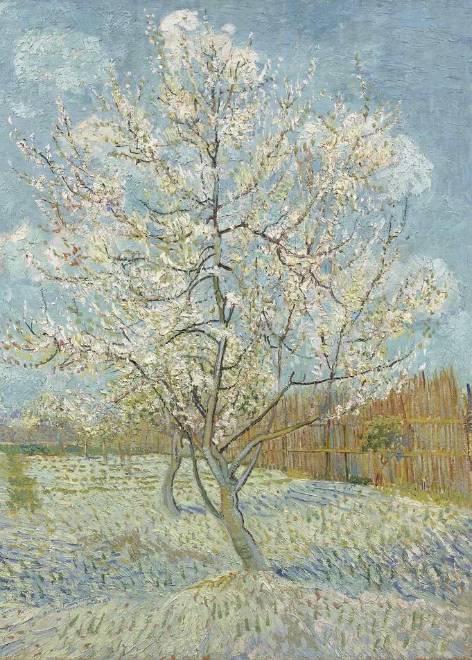 De roze perzikboom