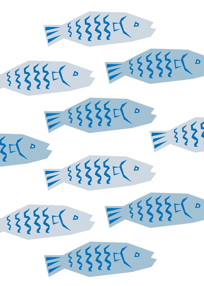 Blue fish lover