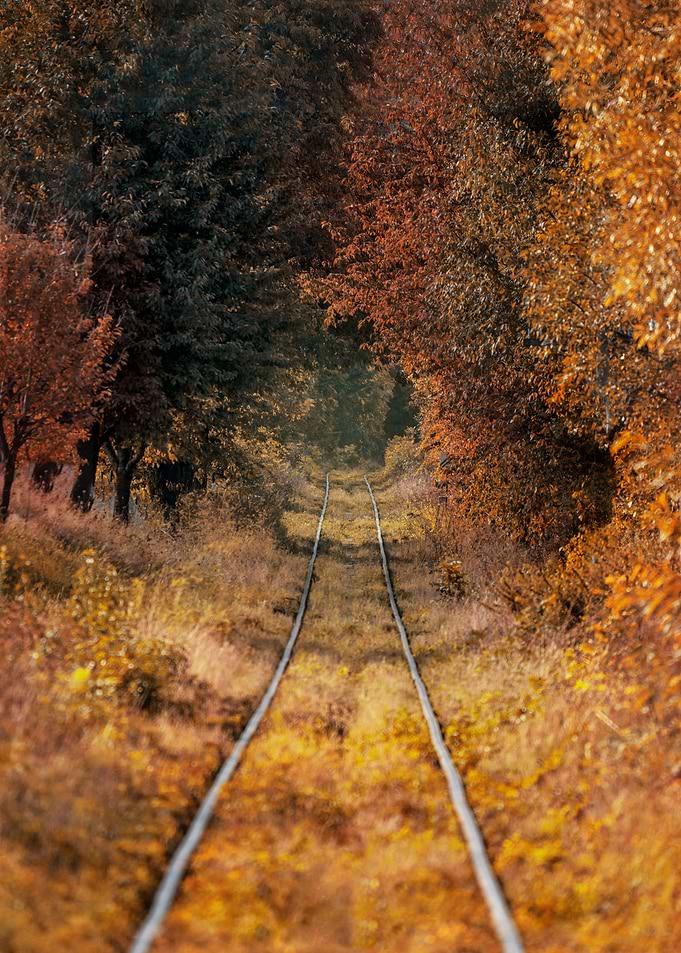 Golden tunnel