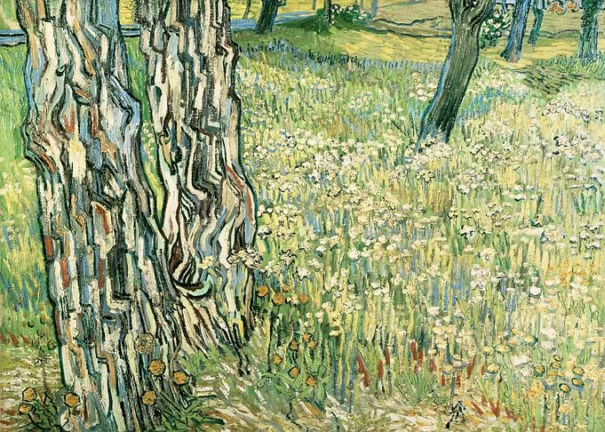 Pine Trees and Dandelions