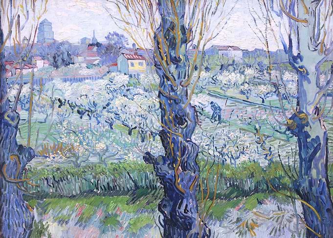 Orchard in Bloom with Popl