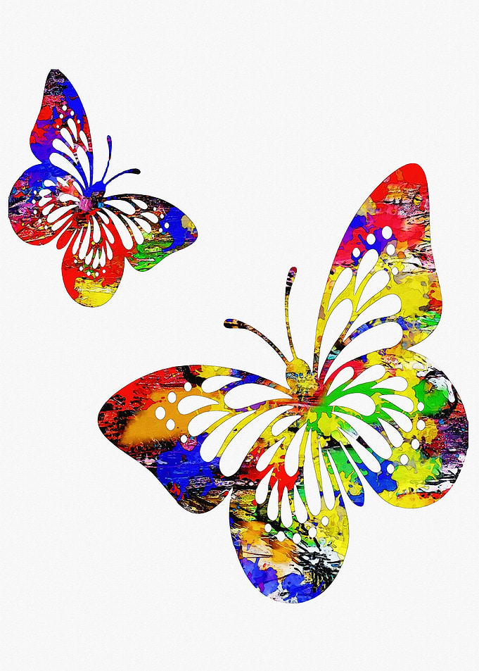 Butterfly flies together