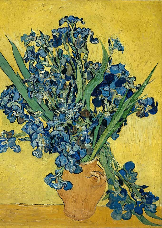 Irises May 1890 1890