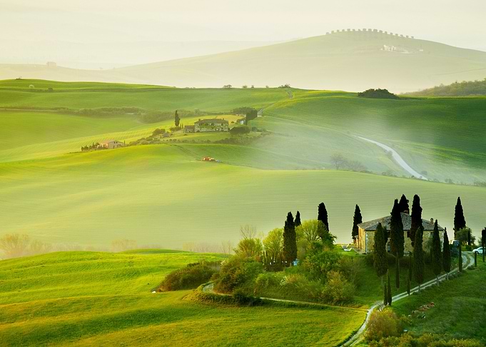 Nature artwork
