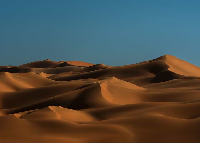 Desert Landscape