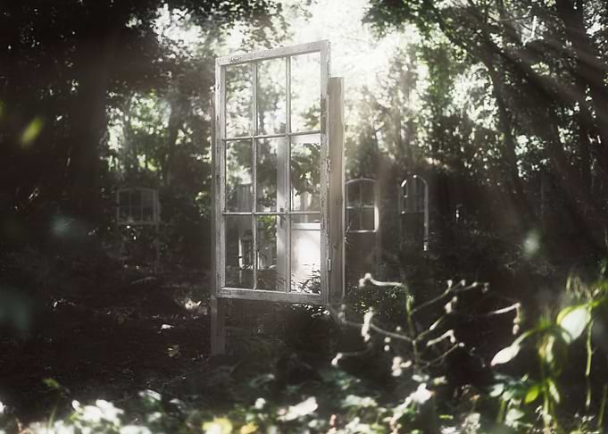 Forest Windows