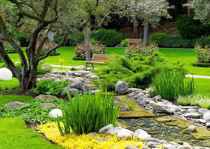 Park landscape